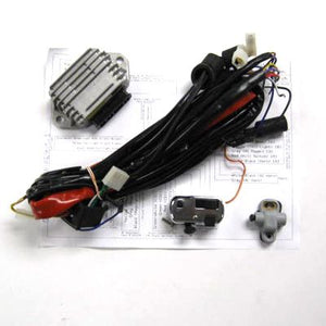 VINTAGE WIRE HARNESS KIT FOR LML MOTORS W/SINGLE 12V AC